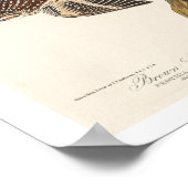 Poster Brown Creeper et California Nuthatch par Audubon (Coin)