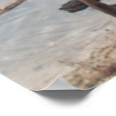 Poster Brown, le Doberman (Coin)