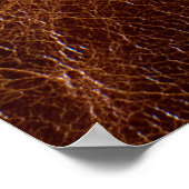 Poster Brown leather textureleather,texture,abstract,acce (Coin)