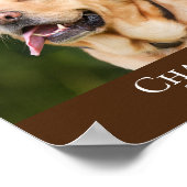 Poster Brown moderne Ajouter photo Pet Memorial (Coin)