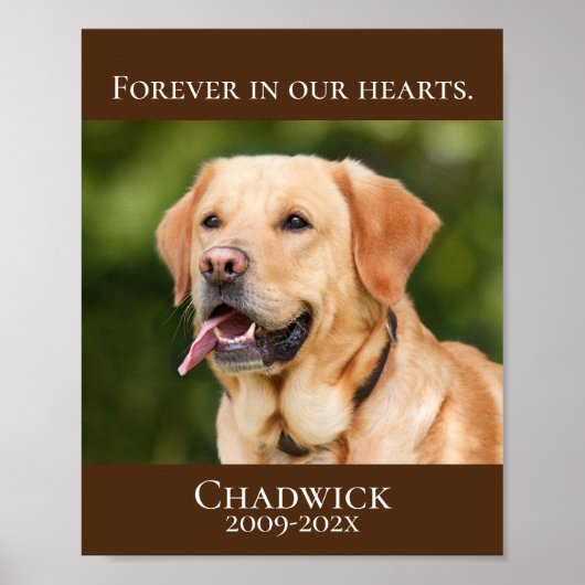 Poster Brown moderne Ajouter photo Pet Memorial (Devant)