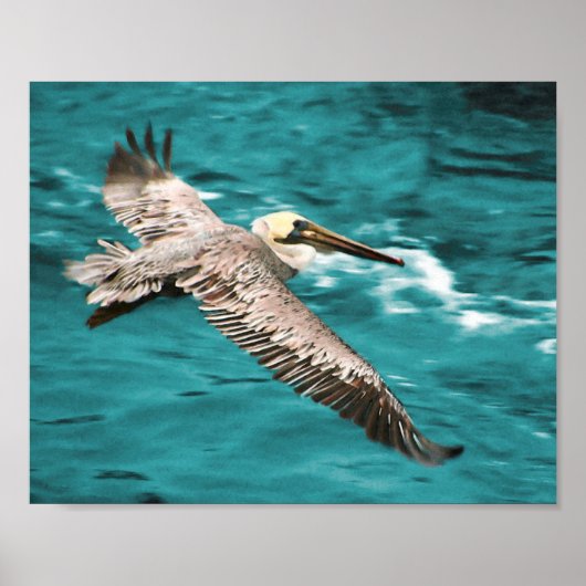 POSTER BROWN PELICAN WIND RIDER (Devant)