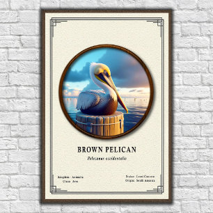 Poster Brown Pelican Zoologie Serie