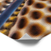 Poster Brown pheasant feather kaleidoscope (Coin)