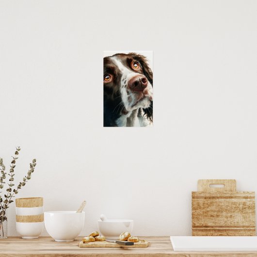 Poster Brown springer spaniel  (Cuisine)
