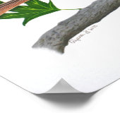 Poster Brown Thrasher 14x11 Imprimer (Coin)