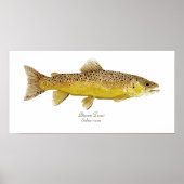 Poster Brown Trout (Devant)