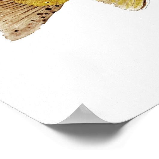 Poster Brown Trout (Coin)