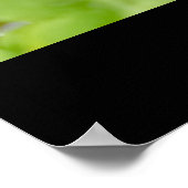 Poster Brownies (Coin)