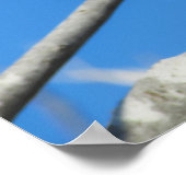 Poster Bruant mou (Coin)