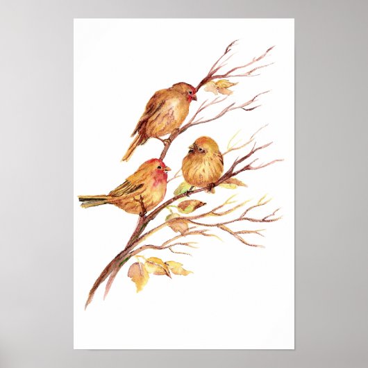 Poster Bruant, Oiseau, Jardin, Nature animale (Devant)