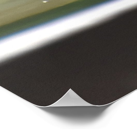 Poster Bruant Perché Sur Le Bain D'Oiseau (Coin)