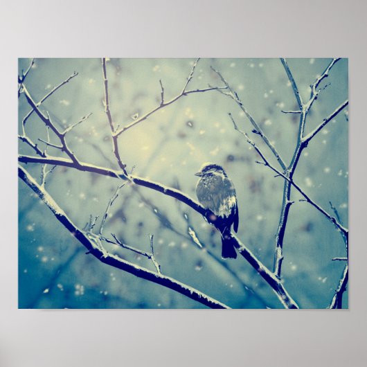 Poster Bruant sur la branche enneigée (Devant)