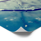 Poster Bruant sur la branche enneigée (Coin)