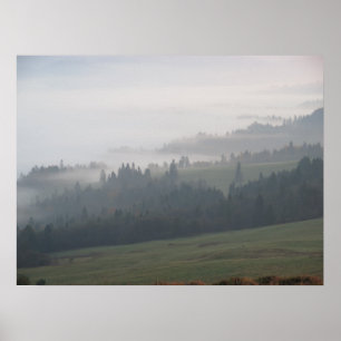 Poster Brug forestier Pieniny