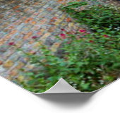 Poster Bruges, Belgique (étiqueté) (Coin)