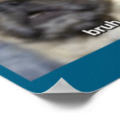 Poster Bruh drôle surpris Pug Chien Flou (Coin)