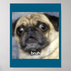 Poster Bruh drôle surpris Pug Chien Flou