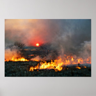 Poster Brûlage de la prairie du Kansas au coucher du sole