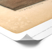 Poster Brûlage du navire à clipper "Golden Light" (0143A) (Coin)