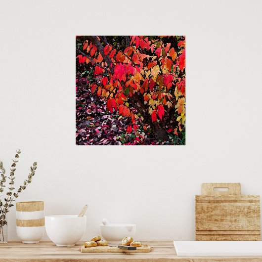 Poster Brûler Bush Abstrait (Cuisine)