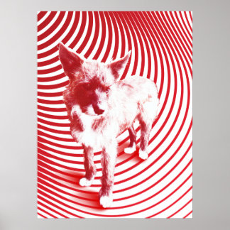 Poster brume folle