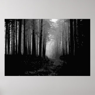Poster Brume forestier 9
