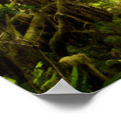 Poster Brume matinale sur le Rhododendron (Coin)