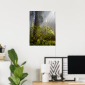 Poster Brume matinale sur le Rhododendron (Bureau à domicile)