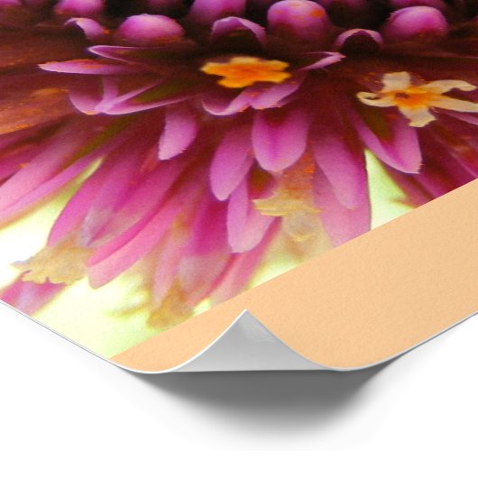 Poster Brume pourpre (Coin)