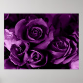 Poster Brume pourpre (Devant)