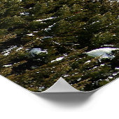 Poster Brundage Station de ski, McCall, Idaho (Coin)