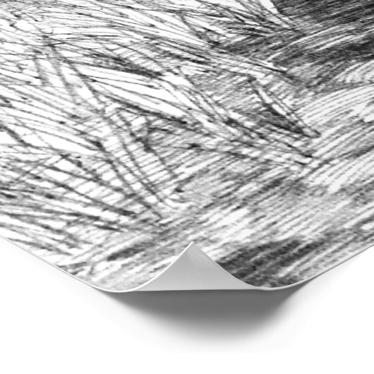 Poster Brunner Pouter Pigeons (Coin)