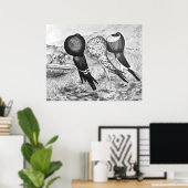 Poster Brunner Pouter Pigeons (Bureau à domicile)