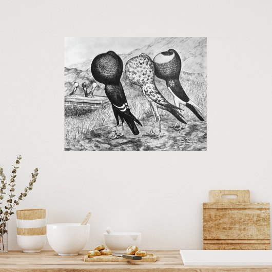 Poster Brunner Pouter Pigeons (Cuisine)