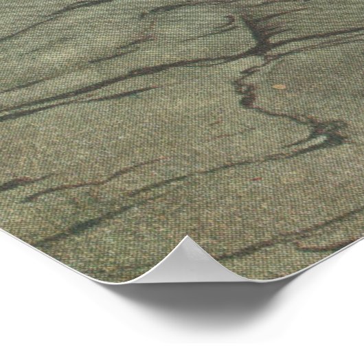 Poster Brunnhilde (Coin)