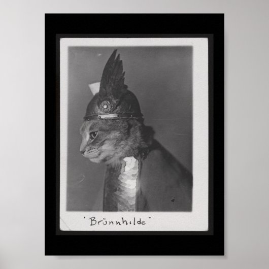 Poster Brunnhilde kitty (Devant)