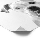 Poster Bruno le Bulldog américain (Coin)
