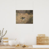 Poster Bruno Liljefors - Chasse aux oiseaux chats (Cuisine)