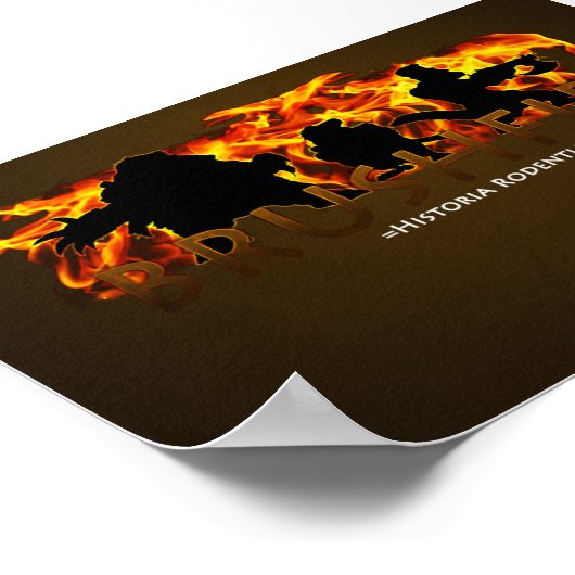 Poster Brushfire - Historia Rodentia (Coin)