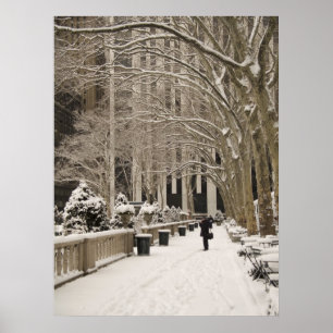 Poster Bryant Park Neige