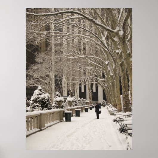 Poster Bryant Park Neige (Devant)