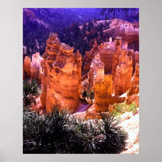 Poster Bryce Canyon Imprimer (Devant)