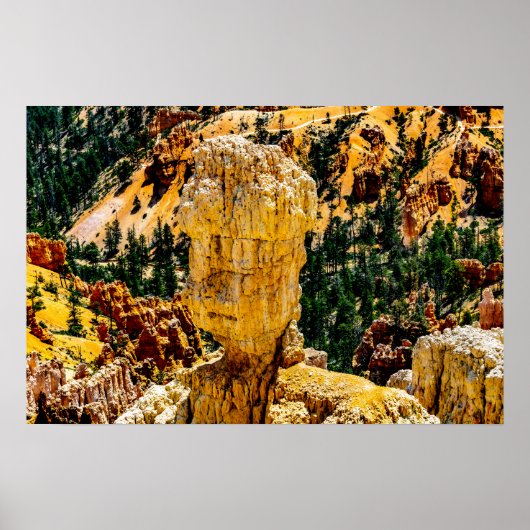 Poster Bryce Canyon Robot Man (Devant)
