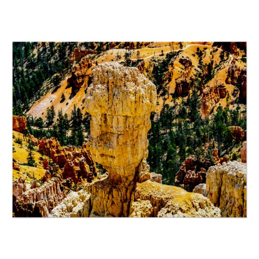 Poster Bryce Canyon Robot Man Glossy (Devant)