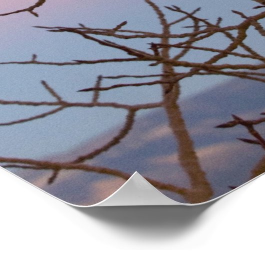 Poster Bryce Canyon, Utah. Bar tree in front of sunset (Coin)