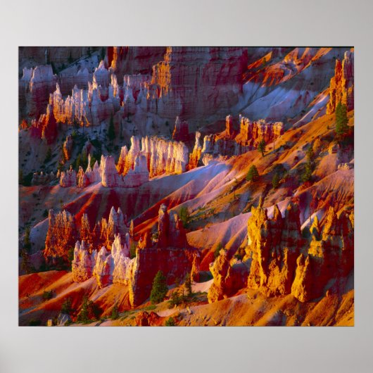 Poster Bryce Canyon, Utah, États-Unis 2 (Devant)