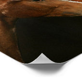 Poster BTtrois quarts de chevaux en tête (Coin)