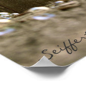 Poster Bubbles (Coin)