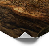 Poster Bucerias Iguana 1069 Art Print (Coin)